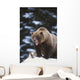 Brown Bear Standing In Snow And Yawning Wall Mural
