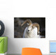 Portrait Of Large Ram During Winter Near Sheep Mountain Wall Mural
