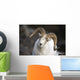Portrait Of Large Ram During Winter Near Sheep Mountain Wall Mural