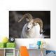 Portrait Of Large Ram During Winter Near Sheep Mountain Wall Mural