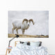 Dall Sheep Ram On Sheep Mountain Wall Mural