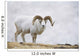 Dall Sheep Ram On Sheep Mountain Wall Mural
