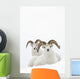 Two Dall Sheep Rams Bedded In Snow On Sheep Mountain Wall Mural