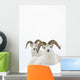 Two Dall Sheep Rams Bedded In Snow On Sheep Mountain Wall Mural
