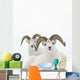 Two Dall Sheep Rams Bedded In Snow On Sheep Mountain Wall Mural