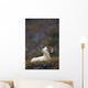 Dall Sheep Ram Bedded Down And Chewing On Grass On Mount Margaret Wall Mural