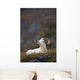 Dall Sheep Ram Bedded Down And Chewing On Grass On Mount Margaret Wall Mural
