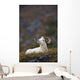 Dall Sheep Ram Bedded Down And Chewing On Grass On Mount Margaret Wall Mural