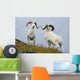 Two Dall Sheep Rams Preparing To Butt Heads In A Dominance Display Wall Mural
