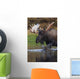 Bull Moose Walks Through A Pond In Denali National Park Wall Mural