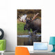 Bull Moose Walks Through A Pond In Denali National Park Wall Mural