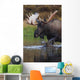 Bull Moose Walks Through A Pond In Denali National Park Wall Mural