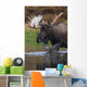 Bull Moose Walks Through A Pond In Denali National Park Wall Mural