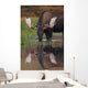Bull Moose Walks Through A Pond In Denali National Park Wall Mural