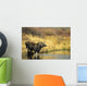 Moose Twin Calves Standing On Stream Bank In Fall Wall Mural