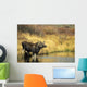 Moose Twin Calves Standing On Stream Bank In Fall Wall Mural
