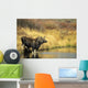 Moose Twin Calves Standing On Stream Bank In Fall Wall Mural