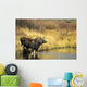 Moose Twin Calves Standing On Stream Bank In Fall Wall Mural