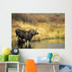 Moose Twin Calves Standing On Stream Bank In Fall Wall Mural