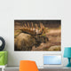 Bull Moose Profile At Sunrise Along Powerline Pass Wall Mural