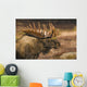 Bull Moose Profile At Sunrise Along Powerline Pass Wall Mural