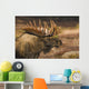 Bull Moose Profile At Sunrise Along Powerline Pass Wall Mural