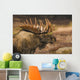 Bull Moose Profile At Sunrise Along Powerline Pass Wall Mural