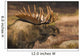 Bull Moose Profile At Sunrise Along Powerline Pass Wall Mural