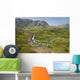 Aerial View Of Waterfall And River In Kenai Mountains Wall Mural