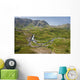 Aerial View Of Waterfall And River In Kenai Mountains Wall Mural