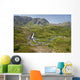 Aerial View Of Waterfall And River In Kenai Mountains Wall Mural