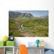 Aerial View Of Waterfall And River In Kenai Mountains Wall Mural