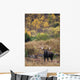 Moose Bull Standing Alert Wall Mural