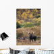 Moose Bull Standing Alert Wall Mural