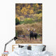 Moose Bull Standing Alert Wall Mural