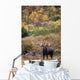 Moose Bull Standing Alert Wall Mural