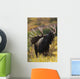 Moose Bull Showing A Flehmen Response During Rut In Autumn Wall Mural