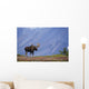 Moose Bull Walking On Autumn Tundra During Rut Wall Mural