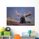 Bull Moose Bedded Down During Autumn Wall Mural