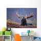 Bull Moose Bedded Down During Autumn Wall Mural