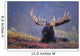 Bull Moose Bedded Down During Autumn Wall Mural