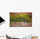 Bull Caribou Bedded On Autumn Tundra In Denali National Park Wall Mural