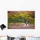 Bull Caribou Bedded On Autumn Tundra In Denali National Park Wall Mural