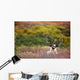 Bull Caribou Bedded On Autumn Tundra In Denali National Park Wall Mural