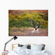 Bull Caribou Bedded On Autumn Tundra In Denali National Park Wall Mural