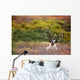 Bull Caribou Bedded On Autumn Tundra In Denali National Park Wall Mural