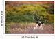 Bull Caribou Bedded On Autumn Tundra In Denali National Park Wall Mural