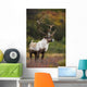 Bull Caribou On Autumn Tundra In Denali National Park, Interior Alaska Wall Mural
