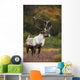 Bull Caribou On Autumn Tundra In Denali National Park, Interior Alaska Wall Mural