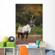 Bull Caribou On Autumn Tundra In Denali National Park, Interior Alaska Wall Mural